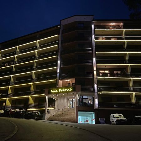 Apartment Pino Bianco 1 - Vila Pekovic Zlatibor Zewnętrze zdjęcie